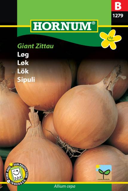 Sättlök ’Giant Zittau’ frö
