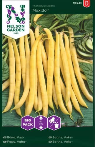 vaxbna-maxidor-big-pack-1