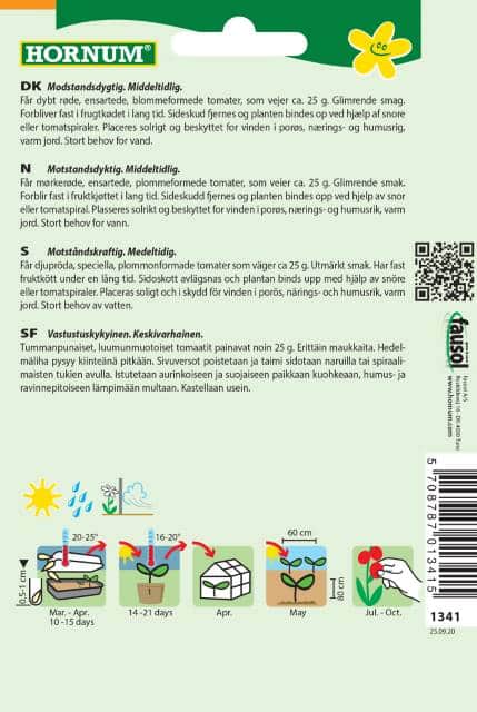 plommontomat-pollicino-f1-2