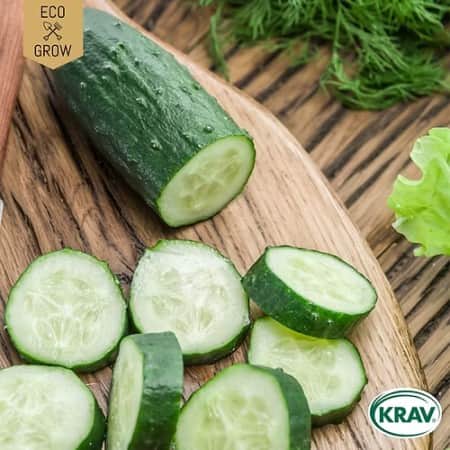 slanggurka-marketmore-70-krav-mrkt-1