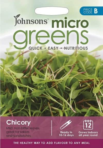 microgreens-chikoria-1