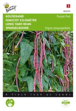 spaghettibna-purple-pod-1