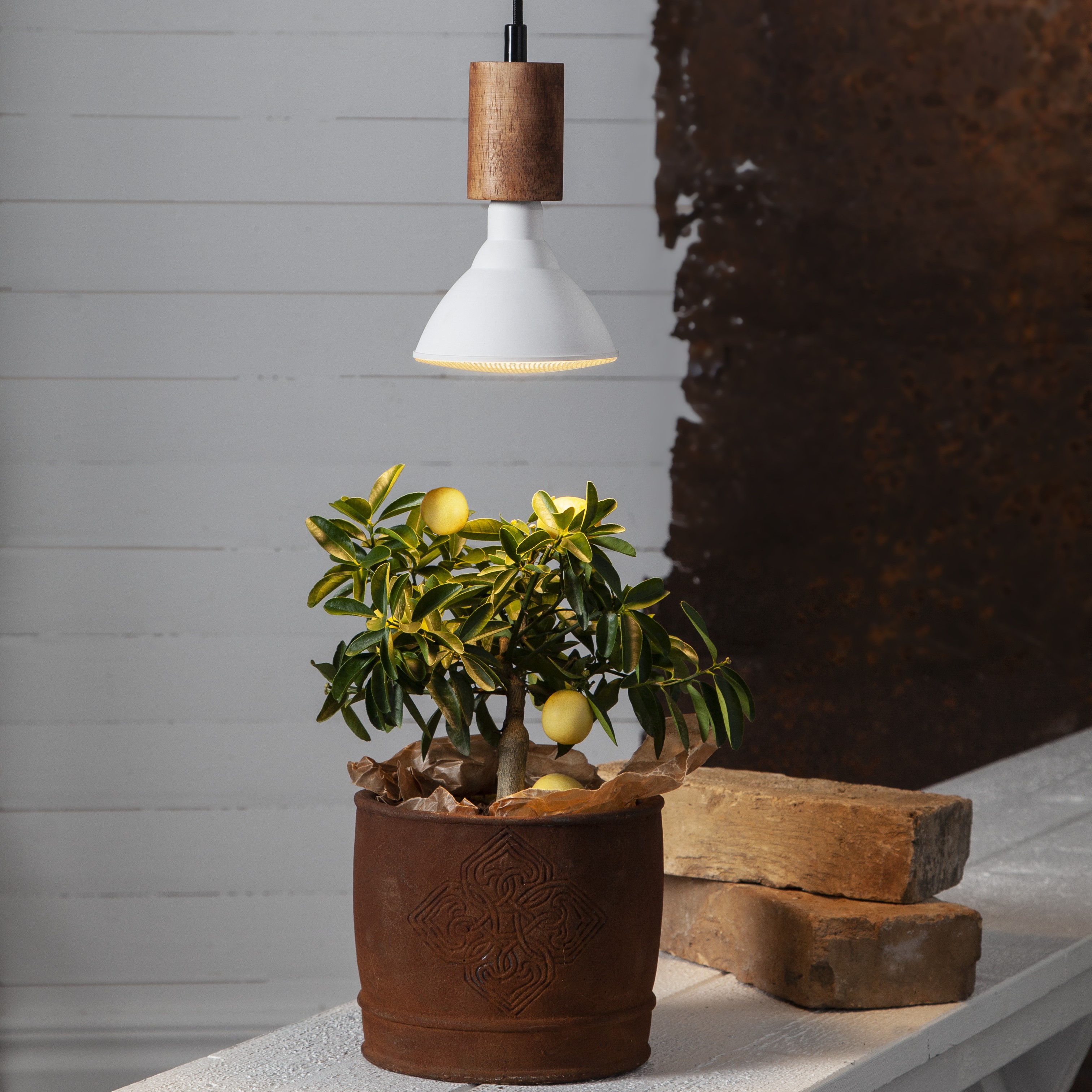 Växtlampa Odla Plant Light LED (underhållsbelysning)