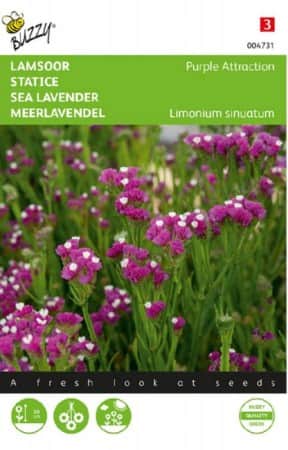 blrisp-purple-attraction-1