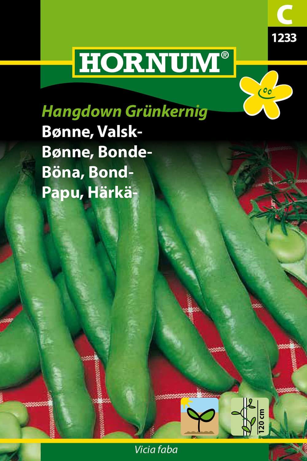 bondbna-hangdown-fr-1