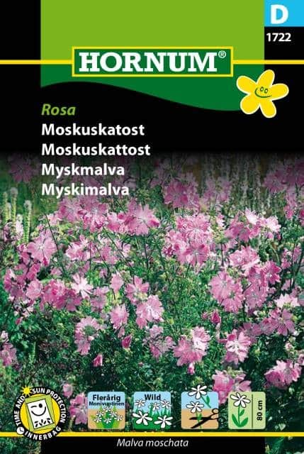 myskmalva-rosa-1