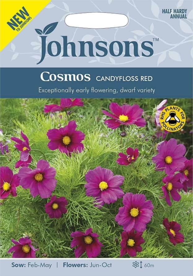 rosenskra-candyfloss-red-1