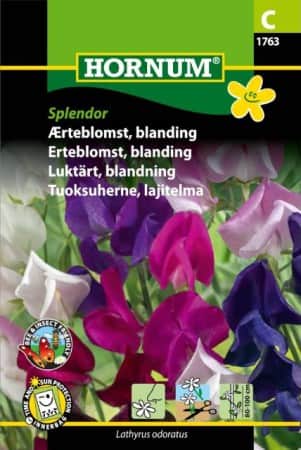 luktrt-mix-splendor-1