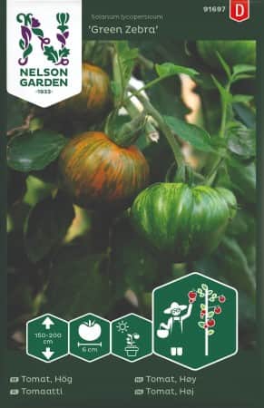 tomat-vanlig-green-zebra-1