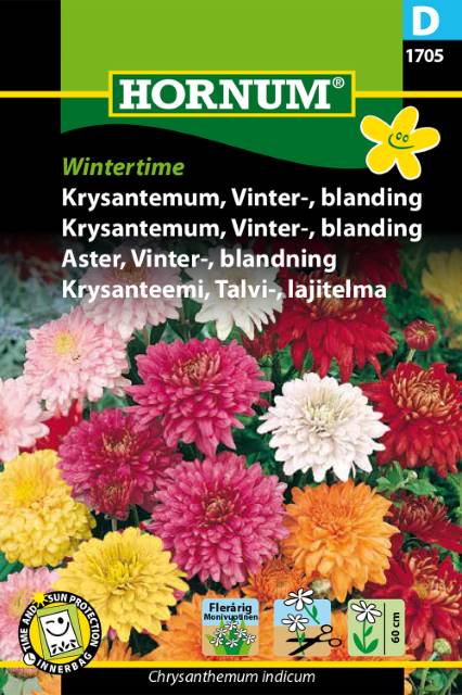 Krysantemum Wintertime mix, frö