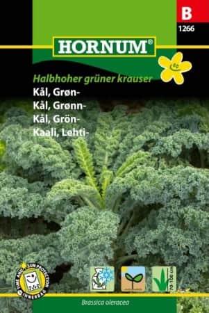 grnkl-halbhoher-grner-krauser-1