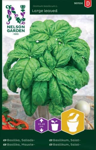 basilika-storbladig-fr-1