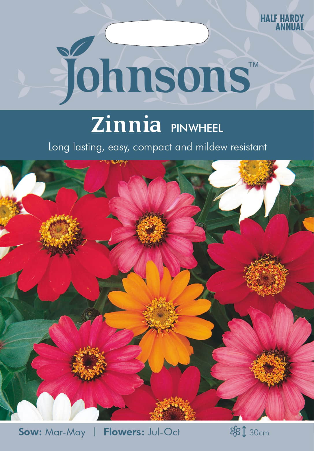 zinnia-pinwheel-fr-1