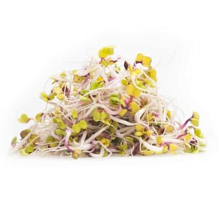 sproutly-eko-rdisfrn-chinarose-160g-2