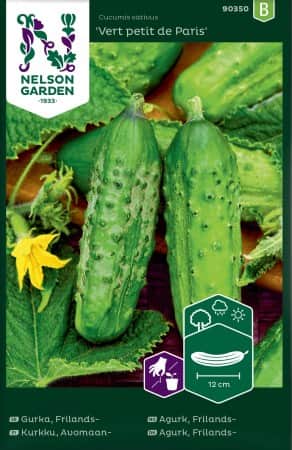 frilandsgurka-vert-petit-de-paris-1