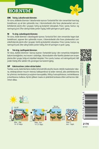 stockros-chaters-strain-salmon-2