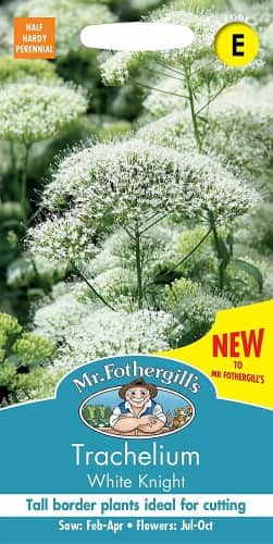 sommarhalsrt-white-knight-2