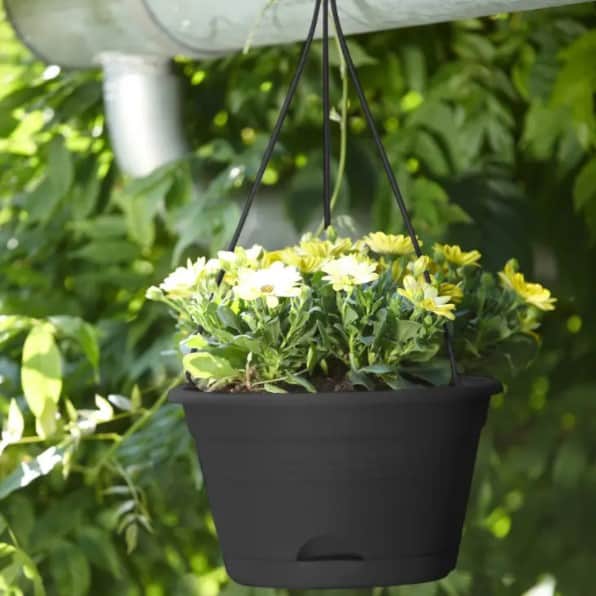 green-basics-hanging-basket-28cm---living-bla-2