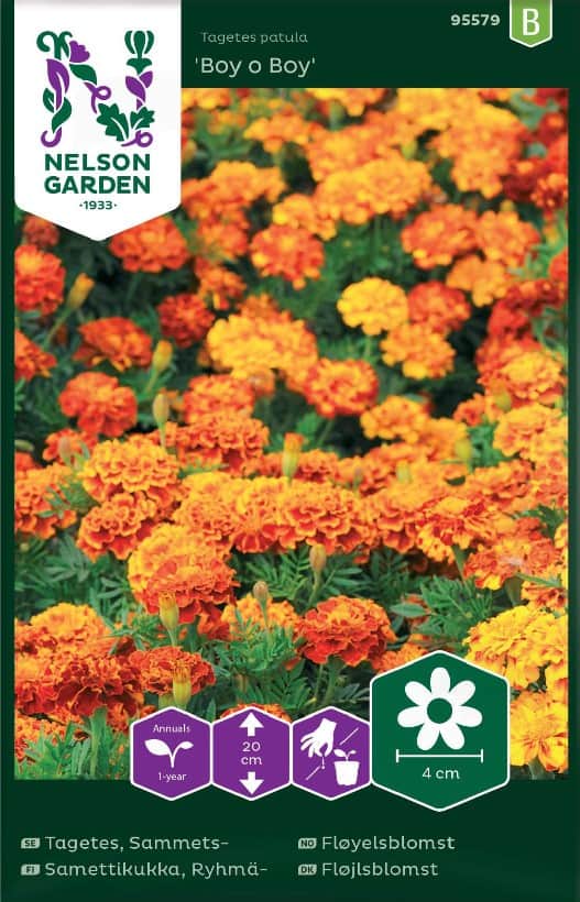 sammetstagetes-boy-o-boy-1