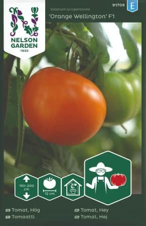 bifftomat-xl-orange-wellington-f1-1