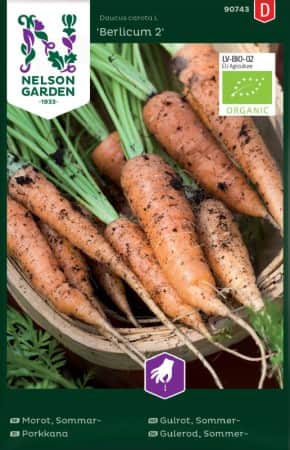 sommarmorot-berlicum-2-eko-1