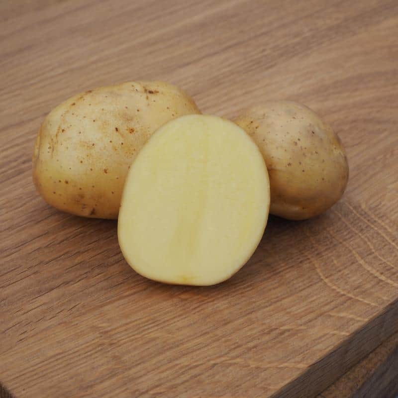 potatis---connect-1kg-2