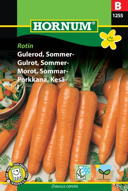 Sommarmorot ’Rotin’ frö