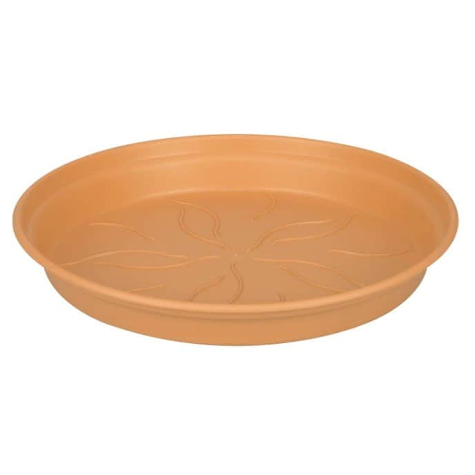 green-basics-fat-10cm---terracotta-1