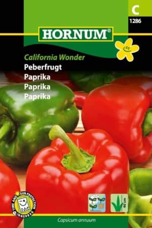paprika-california-wonder-1