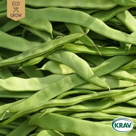 strskrbna-helda-krav-mrkt-1