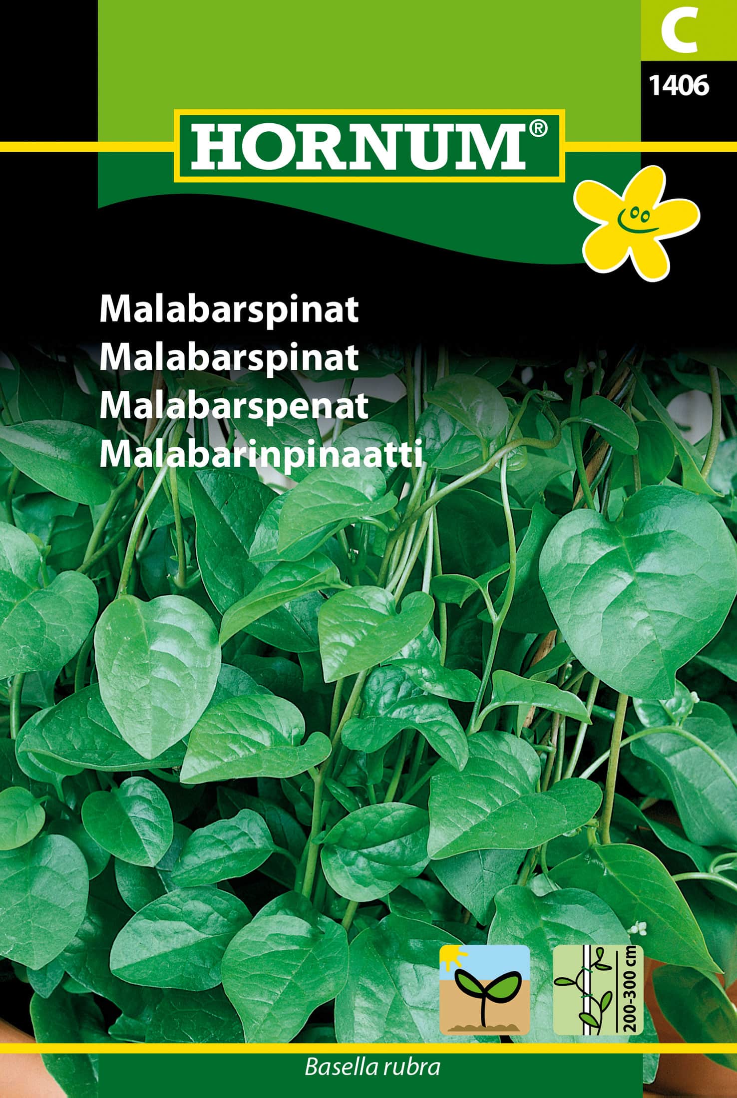 malabarspenat-1