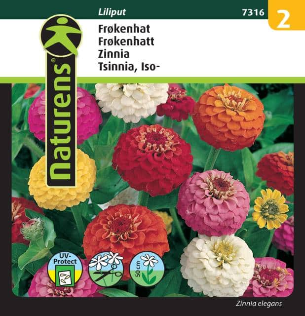 zinnia-mix-liliput-fr-1