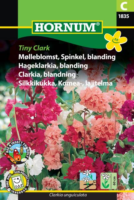 Clarkia Tiny Clark mix, frö