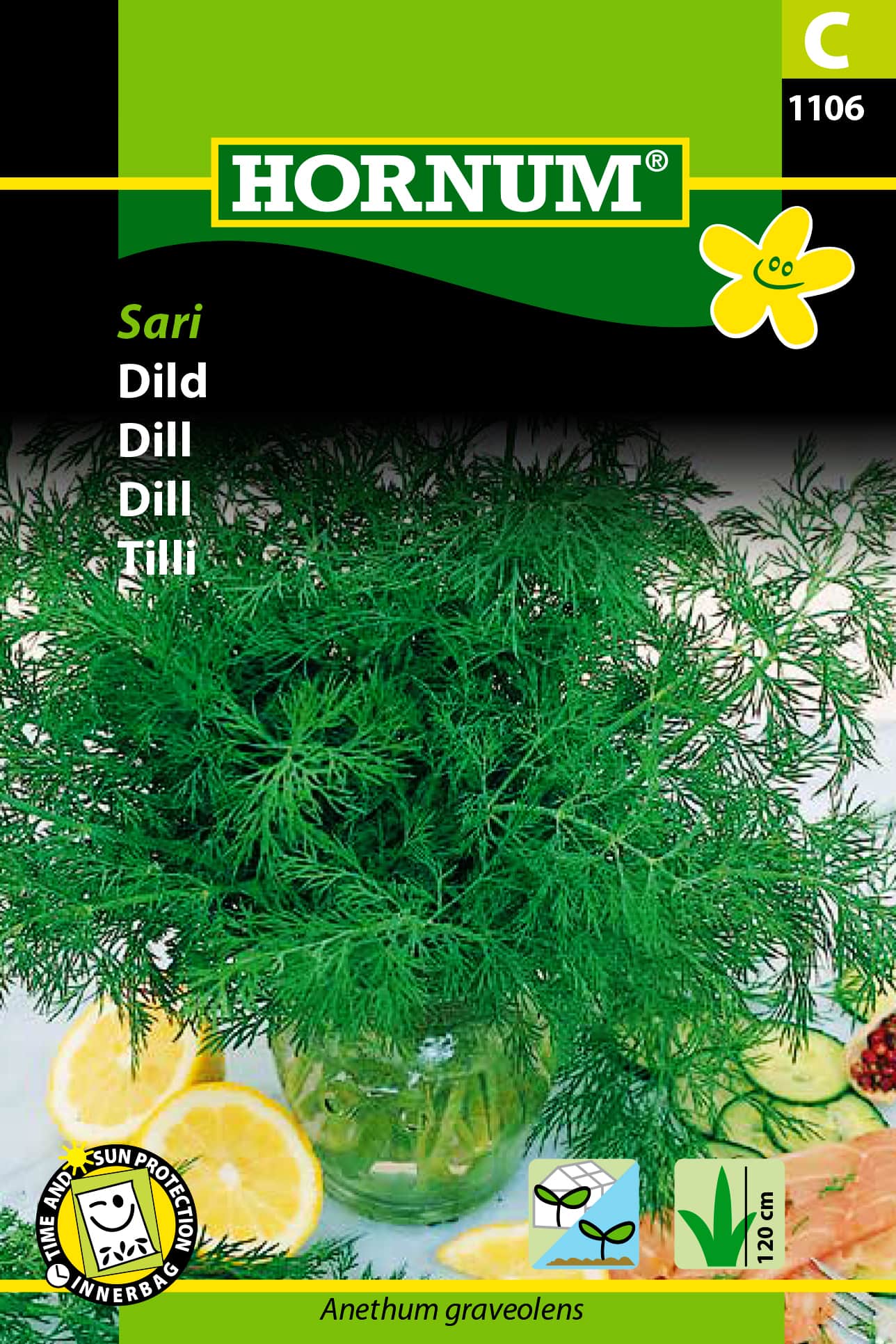 dill-sari-fr-1