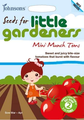 tomat-mini-munch-little-gardeners-1