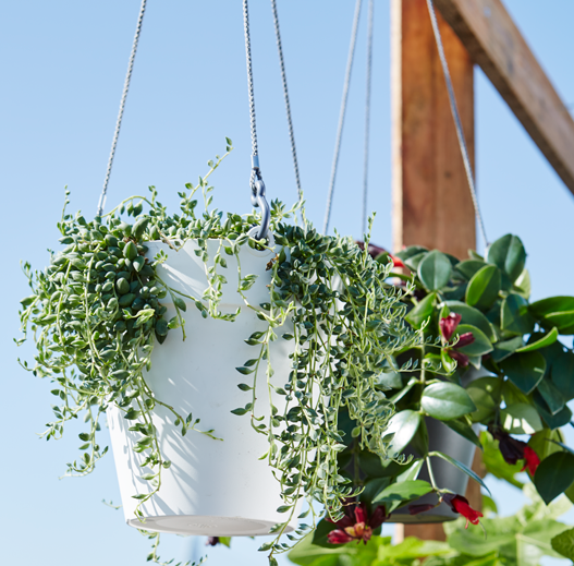 loft-urban-ampel-hanging-basket-d20cm-vit-2