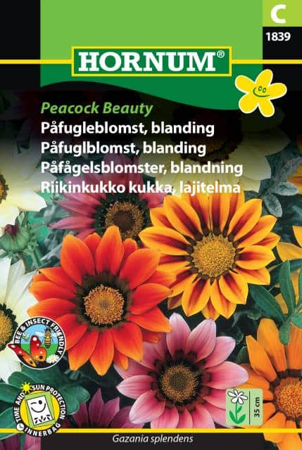 pfgelsblomster-mix-peacock-beauty-fr-1