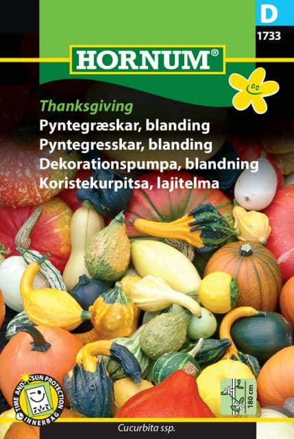 prydnadspumpa-mix-thanksgiving-fr-1