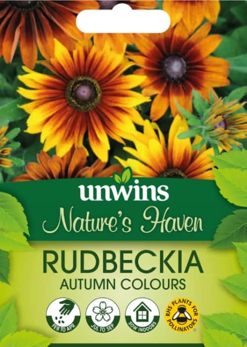 sommarrudbeckia-autumn-colours-1
