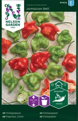 chilipeppar-jamaican-bell-1