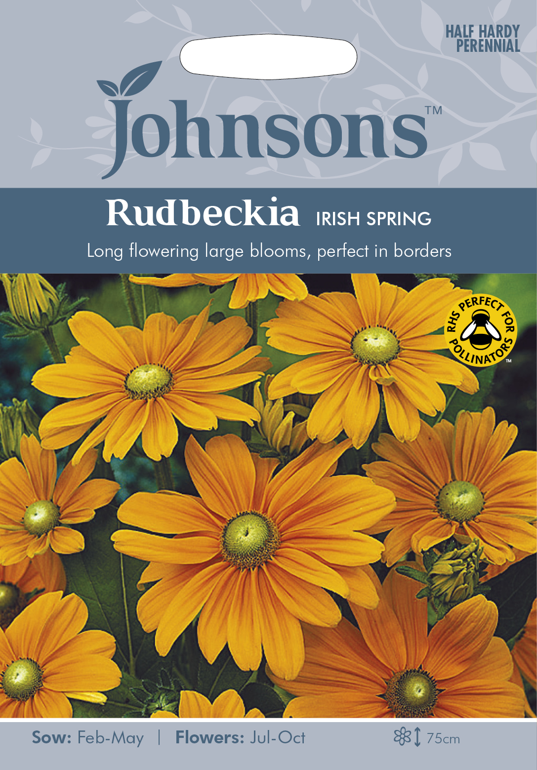 Sommarrudbeckia ’Irish Spring’, frö