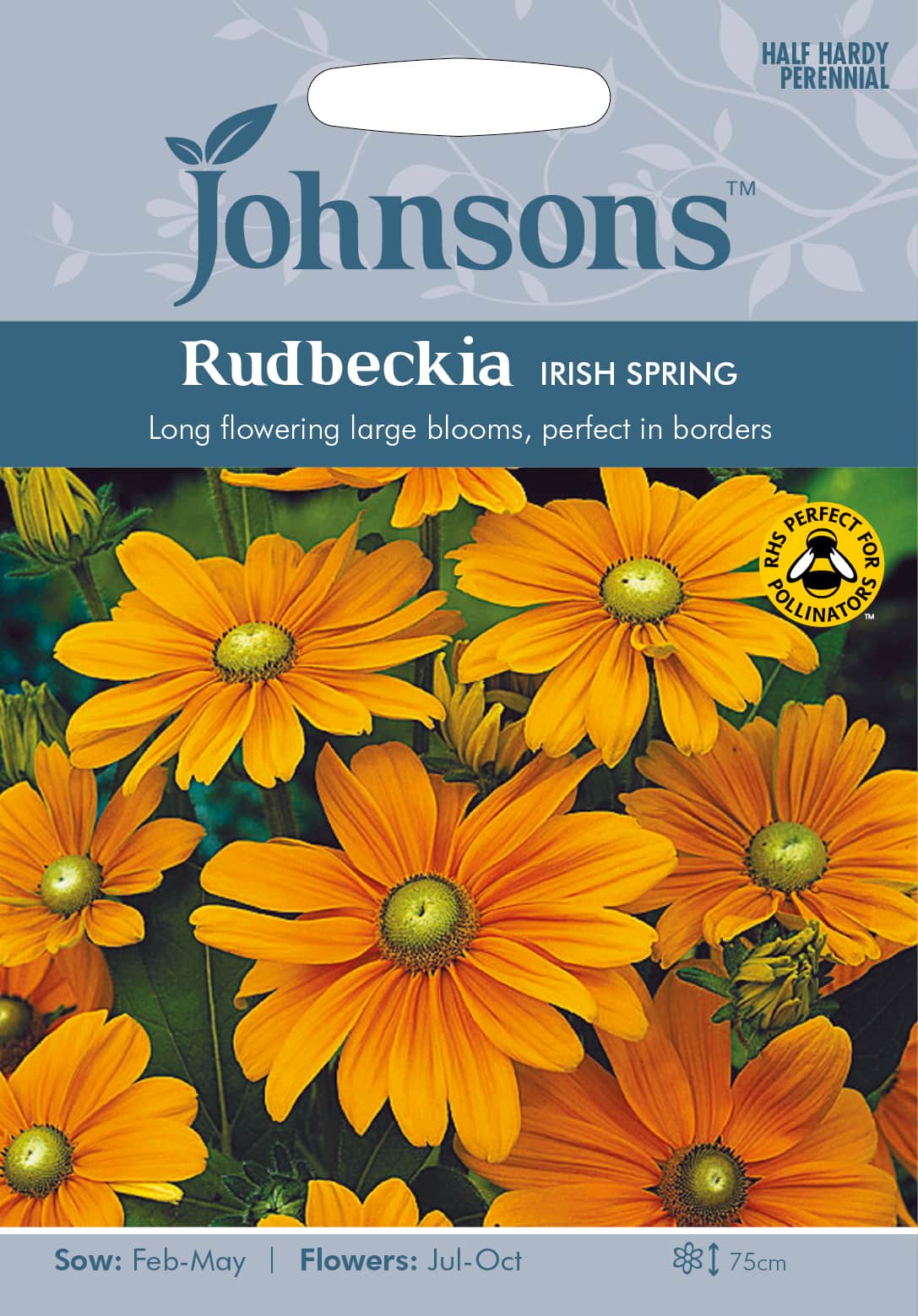 sommarrudbeckia-irish-spring-fr-1