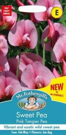 spanskvial-pink-tangier-2