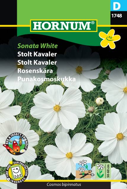 Rosenskära ’Sonata White’ frö