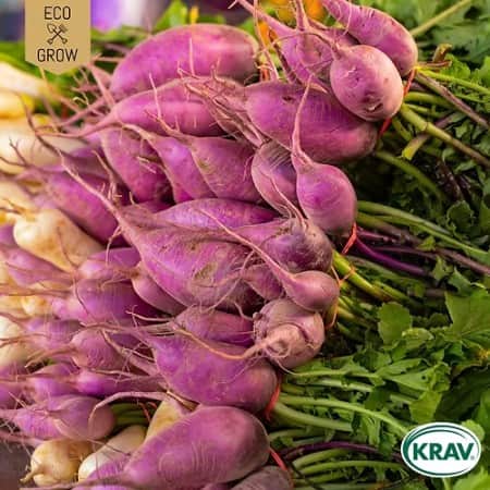 rttika-blue-autumn-and-winter-krav-mrkt-1