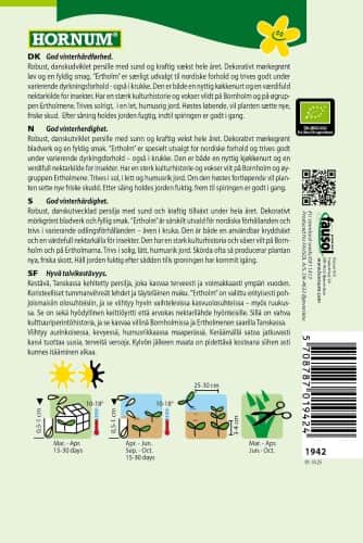 sltbladig-persilja-bornholm-2