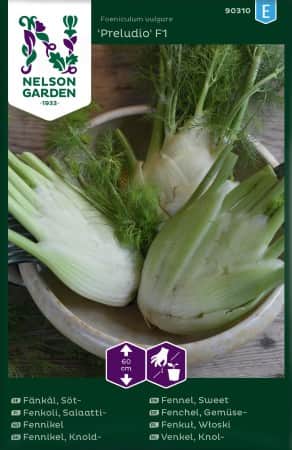 stfnkl-preludio-f1-1