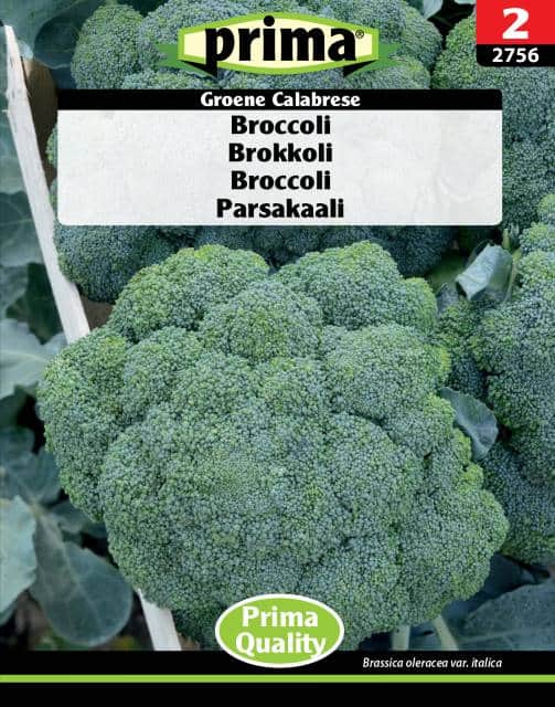 broccoli-groene-calabrese-fr-1
