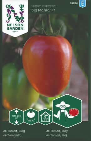 bifftomat-big-mama-f1-1