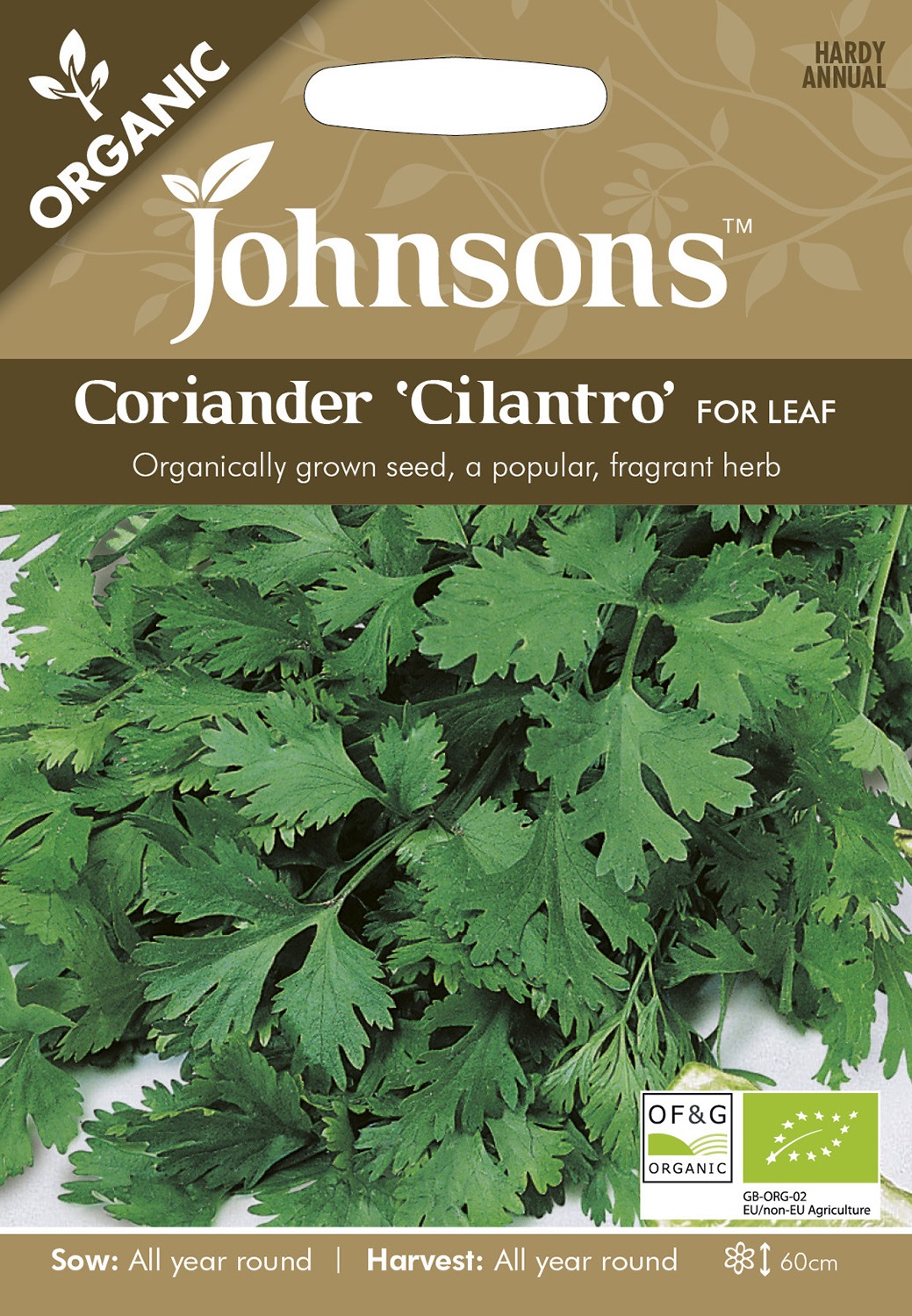 Koriander ’Cilantro’ Organic frö